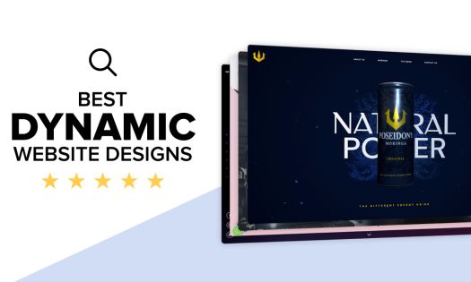 DYNAMIC WEBSITE DESIGN